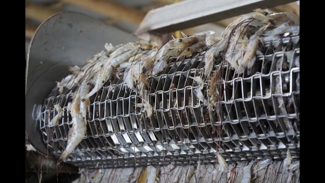 Carry On with Explore Houma 4/16: Shrimping Industry / Tours