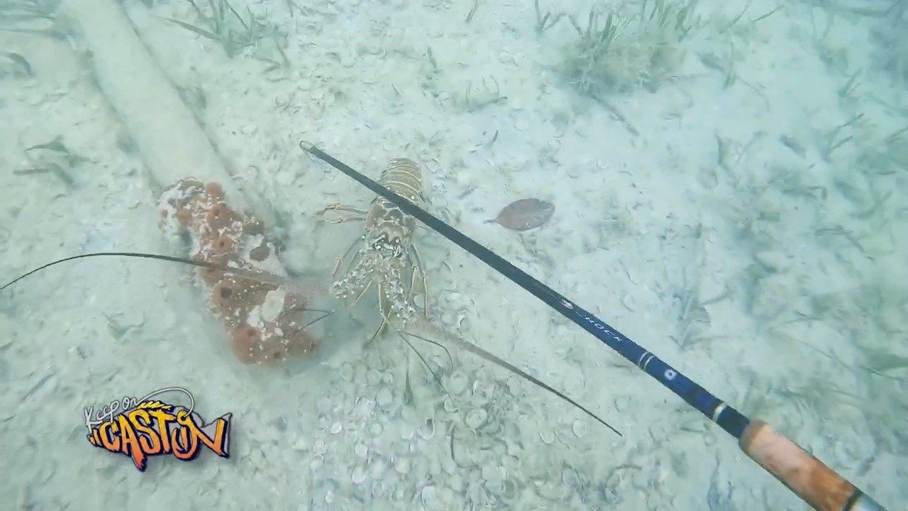 Keep on Castin' 6/23: Belize Edition