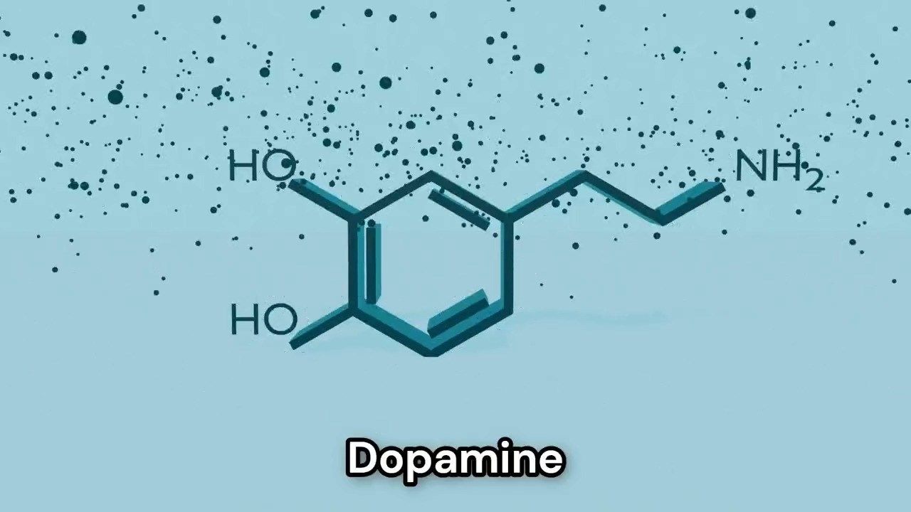 HTV College Prep 9/22: Dopamine