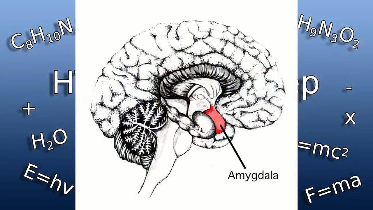 HTV College Prep 10/13: Fear