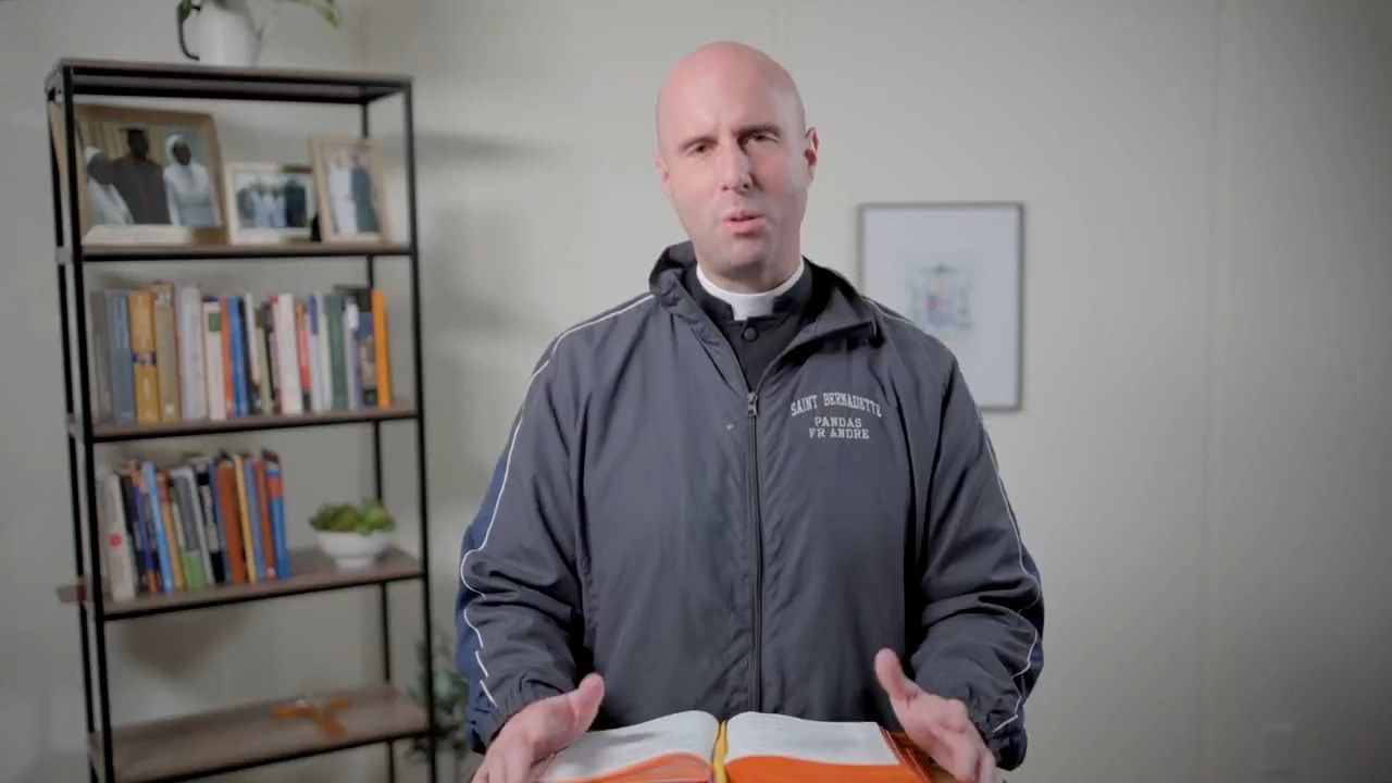 Diocese Homily 11/16: Thirty-Third Sunday in Ordinary Time